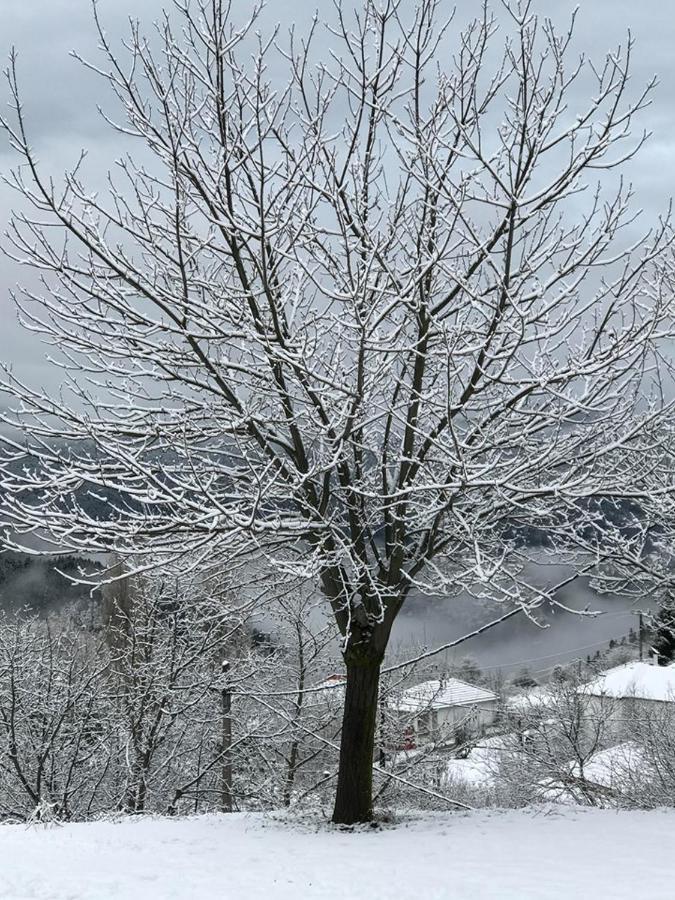 Mikro Katafygio Stavli Exterior foto